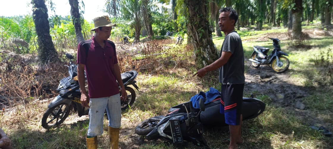 Ditinggal Panen Cabai, Warga Kungkai Baru Nyaris Kehilangan Motor