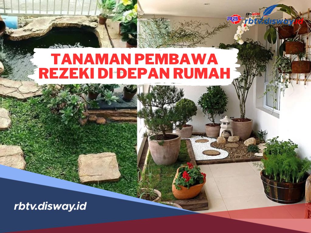 Segera Tanam! Ini 4 Tanaman Pembawa Rezeki di Depan Rumah Menurut Feng Shui