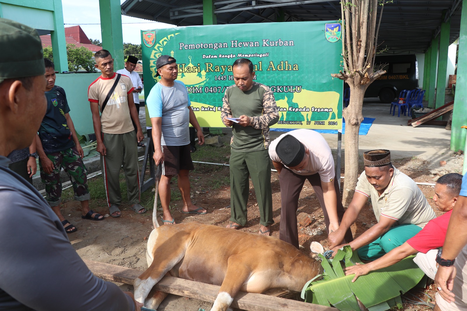 Bersama Masyarakat  Sekitar, Kodim 0407 Kota Bengkulu Kurban 5 Ekor Sapi di Idul Adha 2024