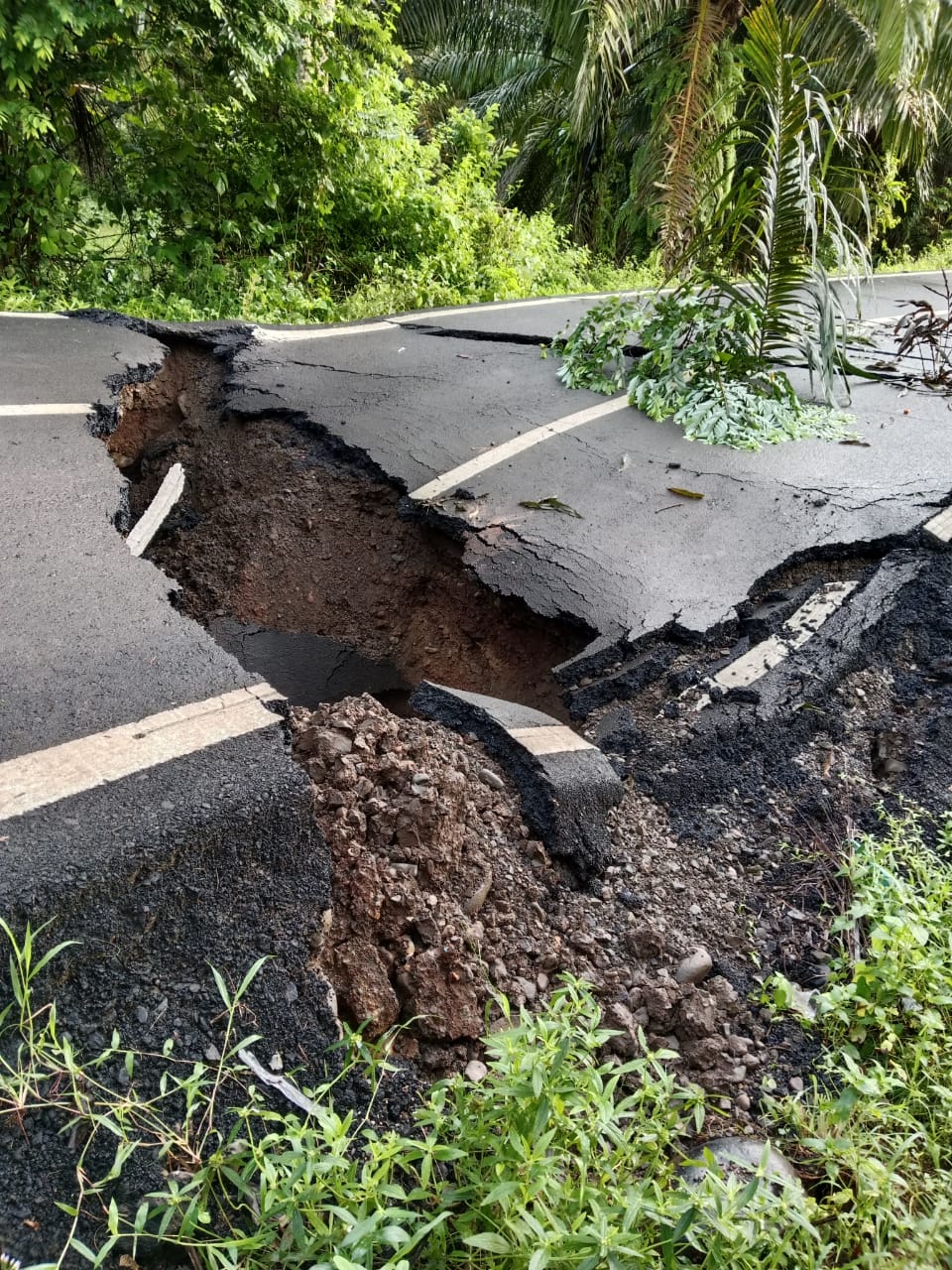 Jalan Provinsi di Bengkulu Tengah Amblas, Kendaraan Tidak Bisa Melintas