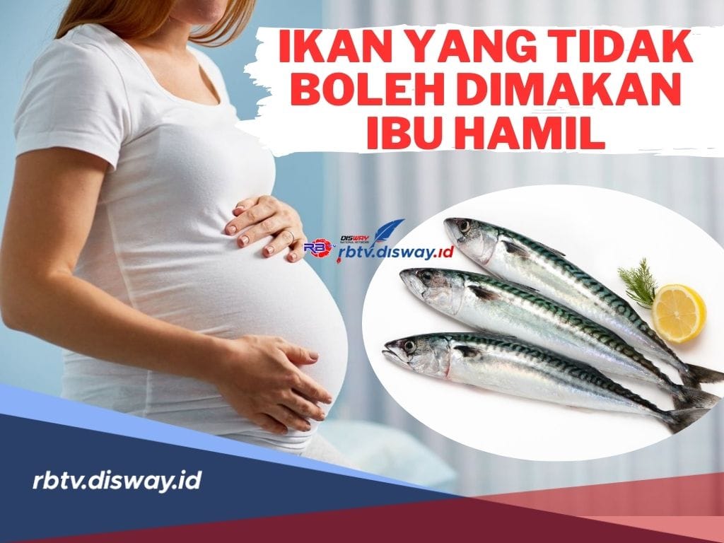 10 Jenis Ikan Ini Tidak Boleh Dimakan Ibu Hamil, Bisa Membahayakan Kesehatan Janin!