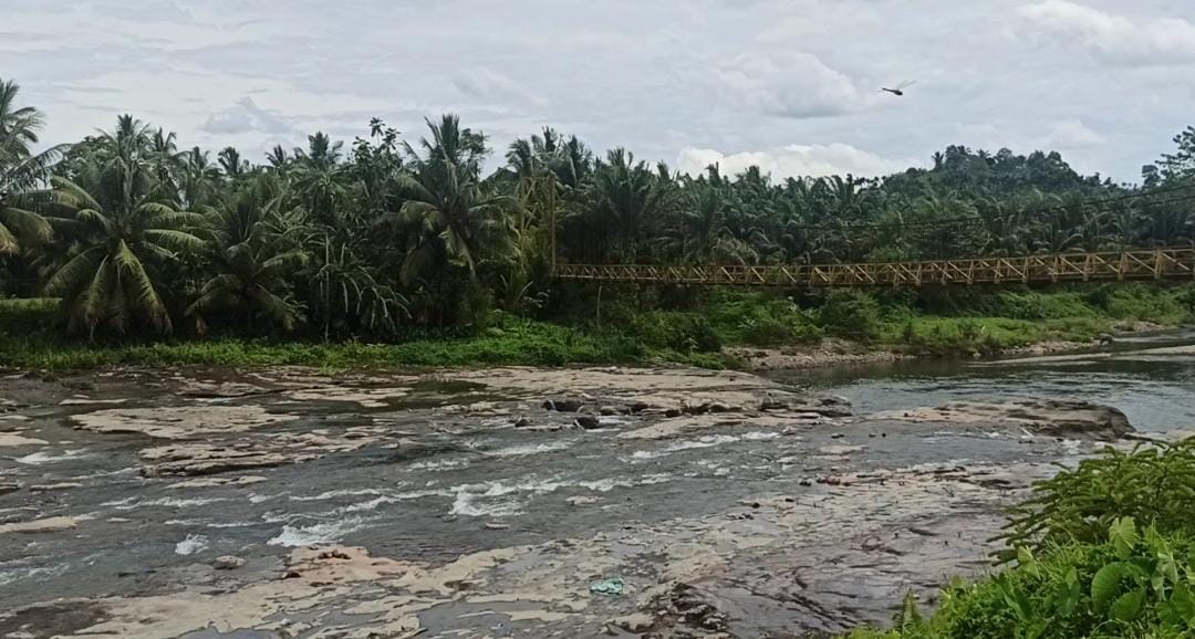 Catat!!! di Bengkulu Selatan Dilarang Tangkap Ipun 