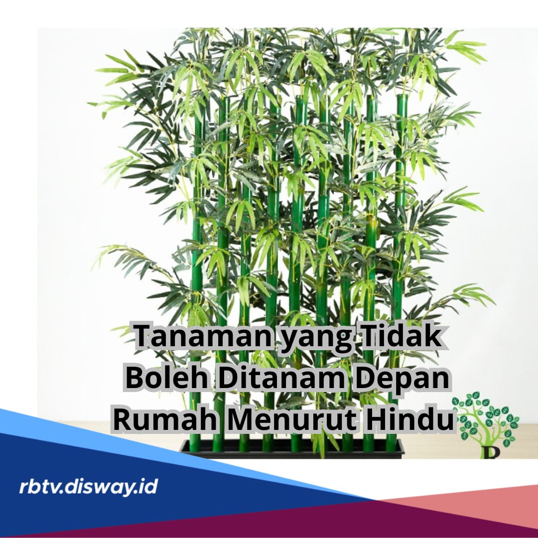 Menurut Agama Hindu, 4 Jenis Tanaman Ini Tidak Boleh Ditanam di Depan Rumah, No 3 Bisa Hambat Rezeki