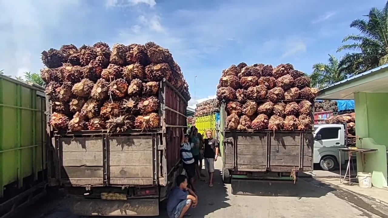 Gubernur Bengkulu Terbitkan SE Pembatasan Angkutan Lebaran, Ini 4 Jenis Kendaraan yang Dilarang