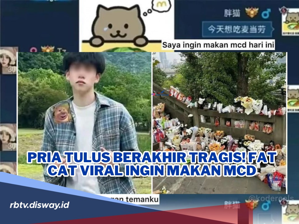 Asmara Berakhir Duka, Fat Cat Pria Tulus yang Tak Mampu Beli McD Demi Sang Kekasih   