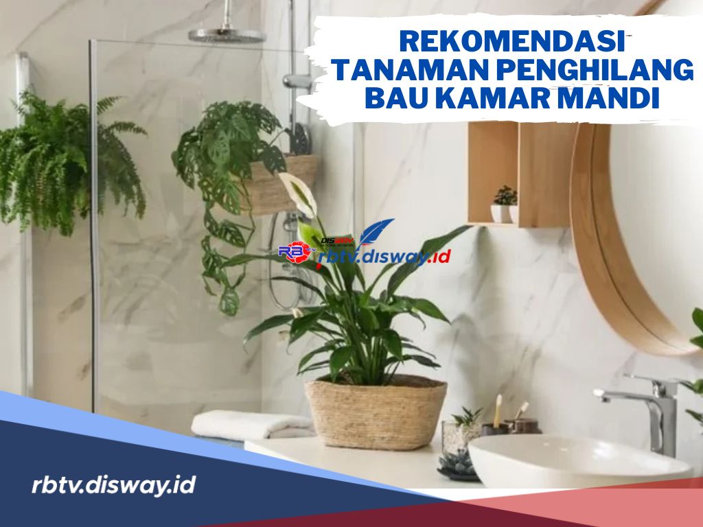 Wangi dan Segar! Ini Rekomendasi Jenis Tanaman Penghilang Bau Kamar Mandi