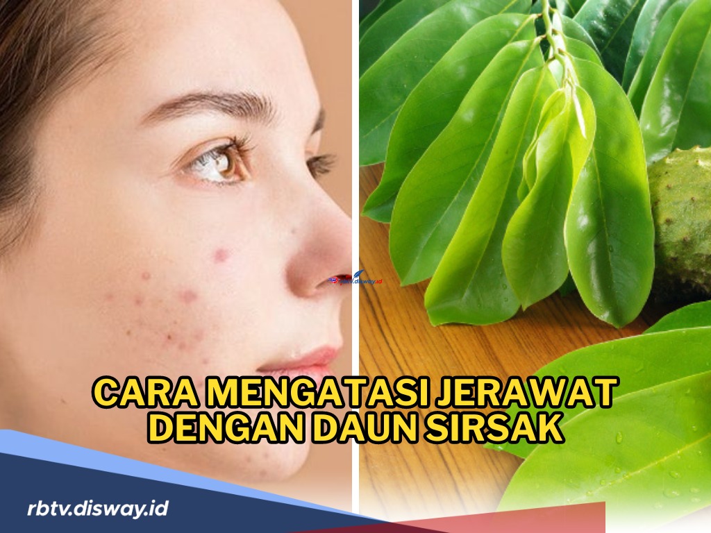 Inilah 6 Cara Mengatasi Jerawat dengan Daun Sirsak, Cuma dengan Satu Bahan, Mudah dan Hemat