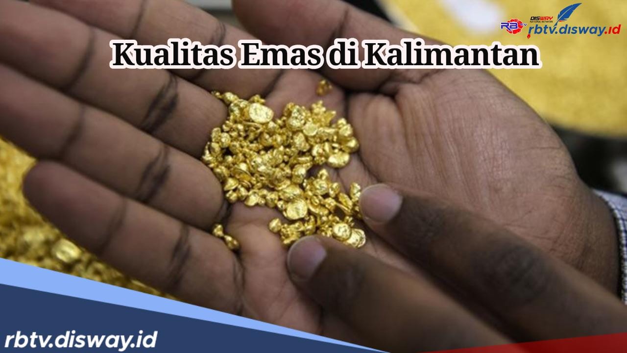 Sudah Tahu Belum? Ternyata 2 Daerah di Kalimantan Ini Mampu Hasilkan Emas Berkualitas, di Sini Lokasinya