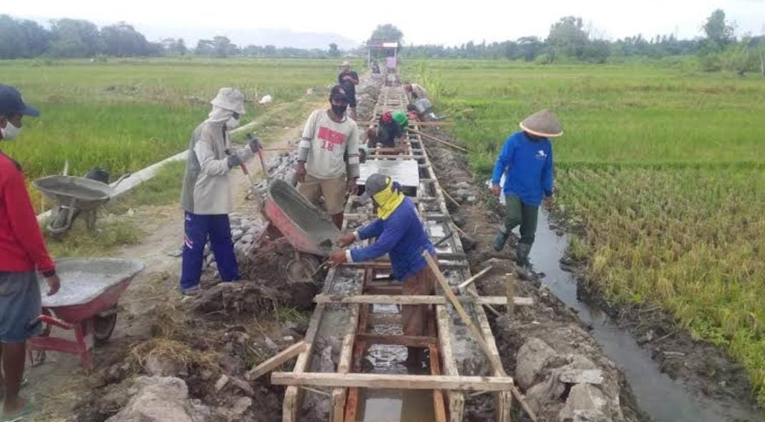 Bayaran Petugas Pendamping Lokal Desa Bikin Syok, Ternyata Ini Rincian Tugasnya