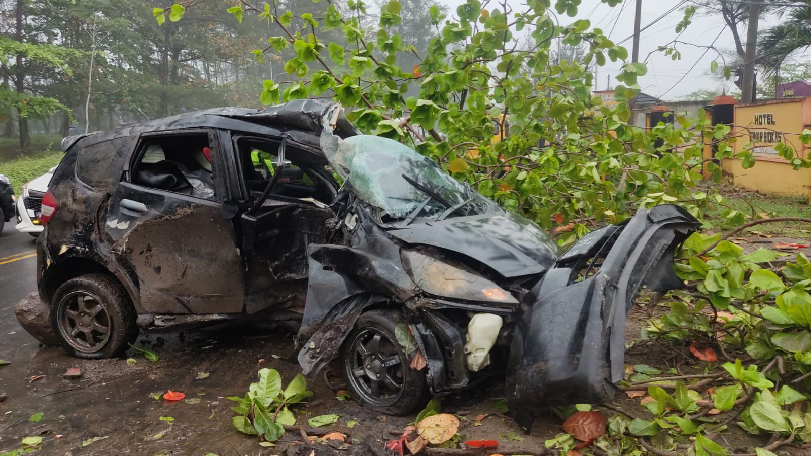 Honda Jazz Remuk Tabrak Pohon di Pantai Panjang, Bagaimana Kondisi Sopirnya?