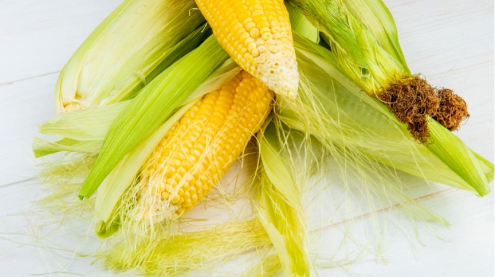 Sering Dianggap Tak Berharga dan Dibuang, Ternyata Rambut Jagung Punya Banyak Manfaat, Bisa untuk Batu Ginjal