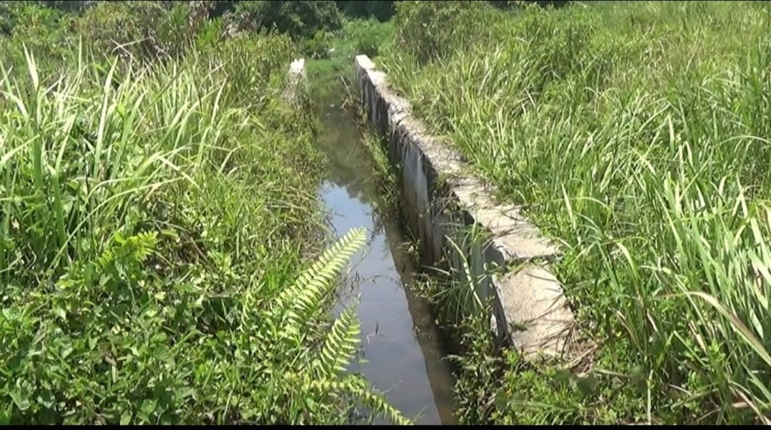 Wilayah Anda Masuk? Dinas Pupr Perbaiki 12 Titik Drainase Permukiman