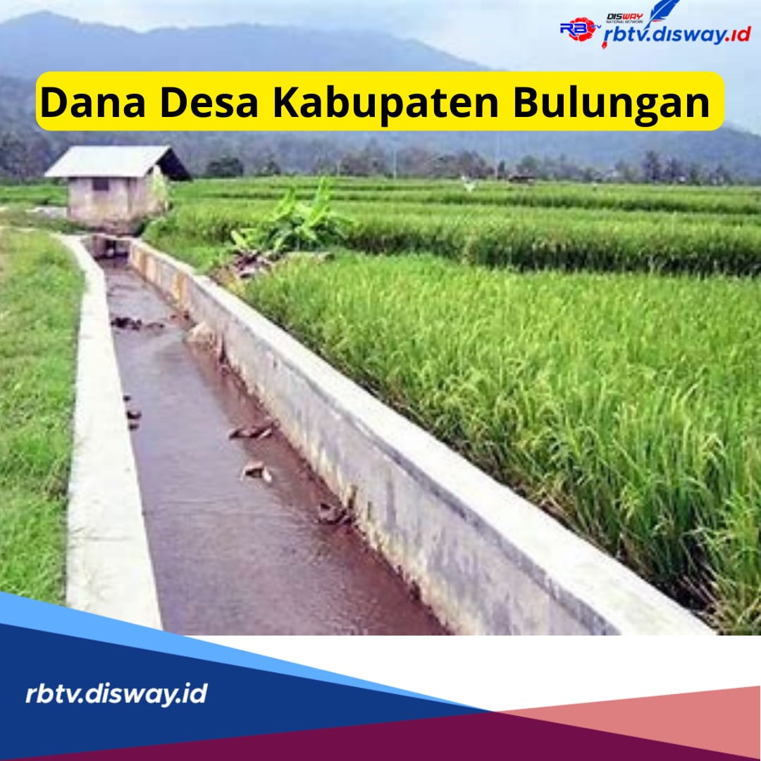 Rincian Dana Desa Kabupaten Bulungan Tahun 2024 untuk 74 Desa, Ada yang Dapat Alokasi di Atas Rp 1 M?