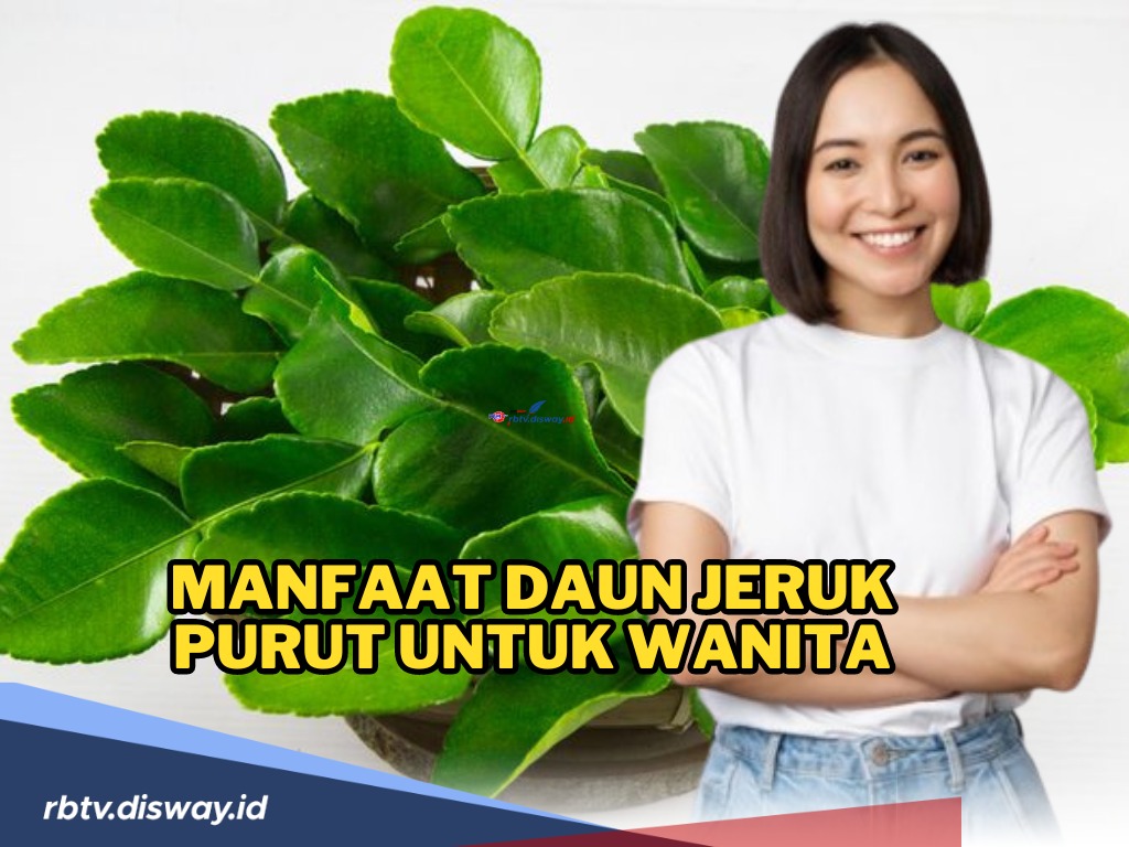 Ini Manfaat Daun Jeruk Purut untuk Wanita, Simak Cara Mengonsumsinya