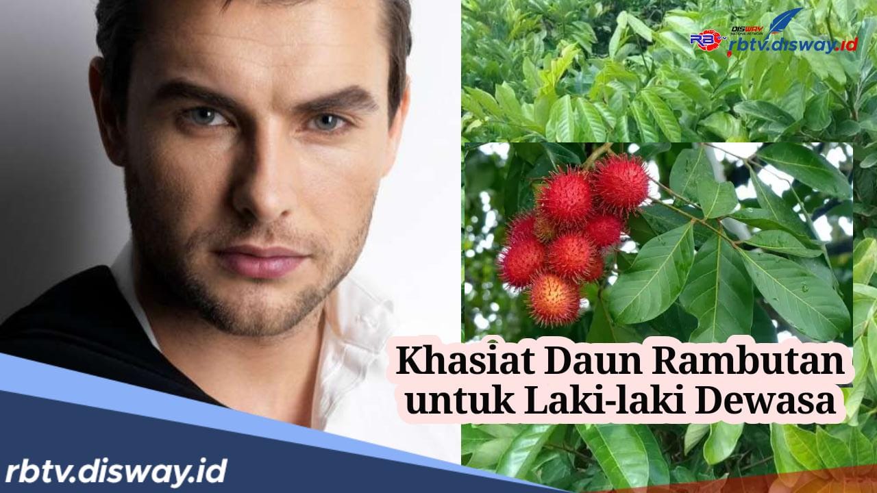 Ini Khasiat Daun Rambutan untuk Lelaki Dewasa Jika Diminum Rutin