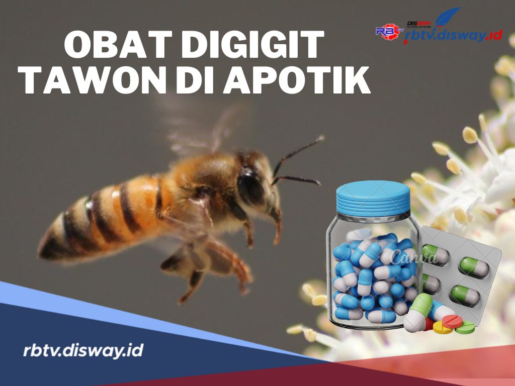 6 Obat Disengat Tawon Ampuh Tersedia di Apotek, Harganya Mulai Rp 1.500 
