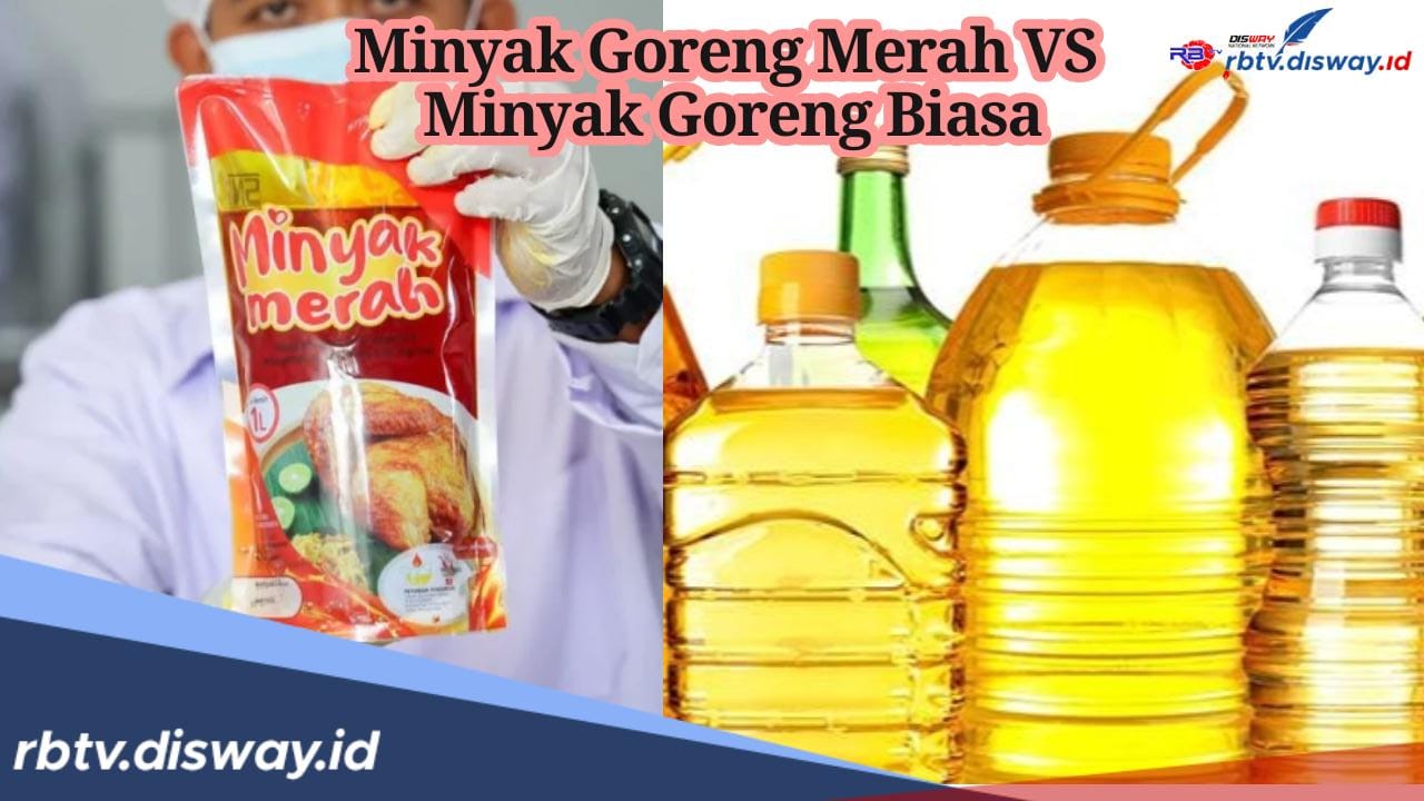 Perbedaan Minyak Makan Merah Vs Minyak Goreng Biasa, Mana yang Lebih Murah?