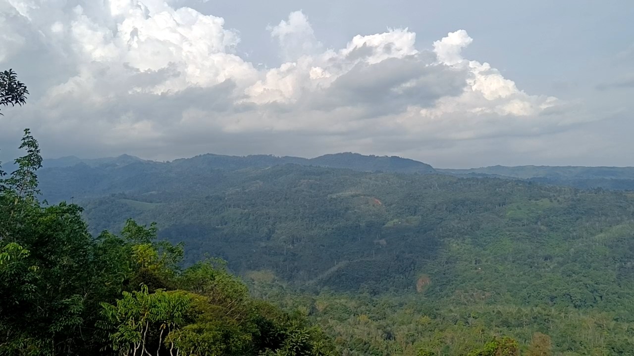 Kenapa Potensi Emas di Bengkulu Belum Digarap, Padahal Potensinya Melebihi Freeport?