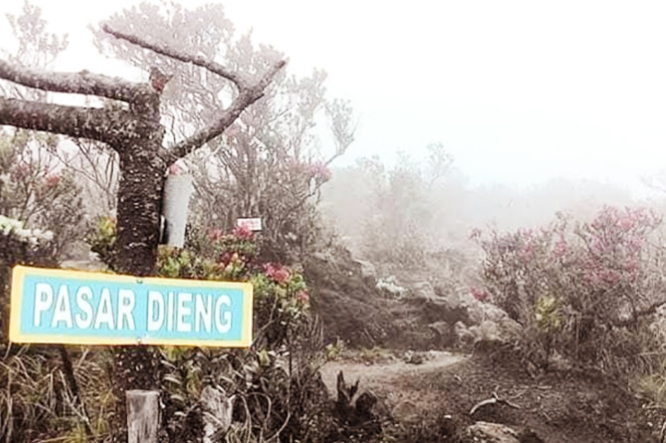 Pasar Setan di Gunung Lawu, Kisah Mistis yang Sangat Tersohor di Kalangan para Pendaki