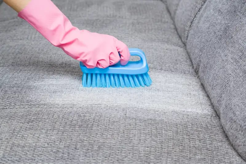 Begini Lho Cara Mudah Bersihkan Noda di Sofa, Cukup Pakai Detergen Cair atau Pasta Gigi