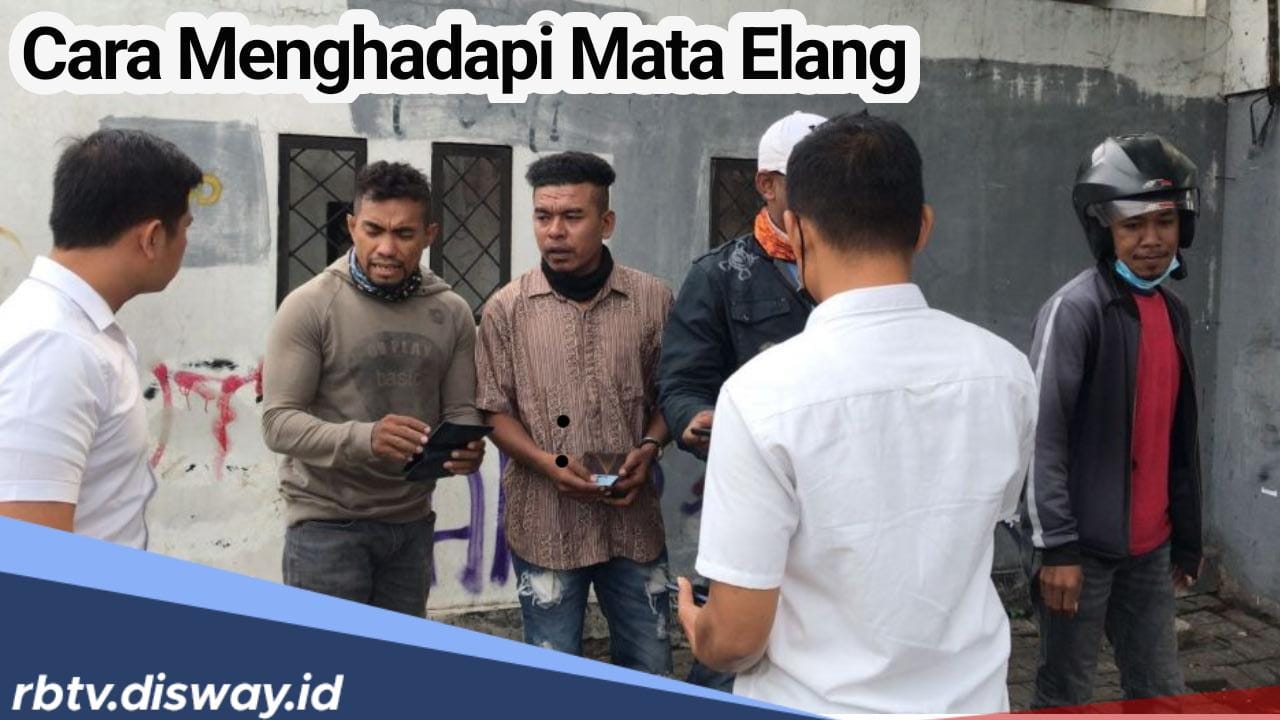 Jangan Panik! Begini Cara Menghadapi Mata Elang yang Tiba-Tiba Datang Menghadang 