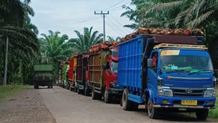 Ngantre Bongkar Muat TBS Sawit, Lima Truk Kehilangan Aki