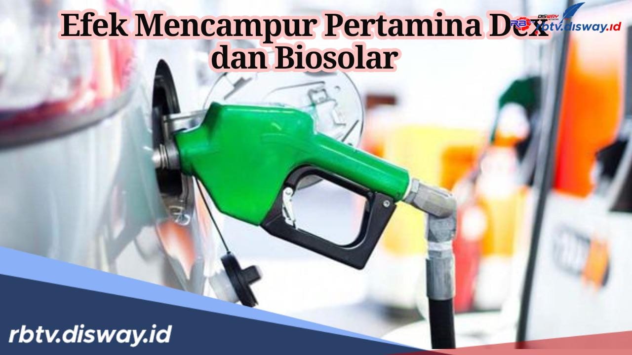 Hindari BBM Oplosan, Ini Efeknya jika Mencampur Pertamina Dex dengan Biosolar