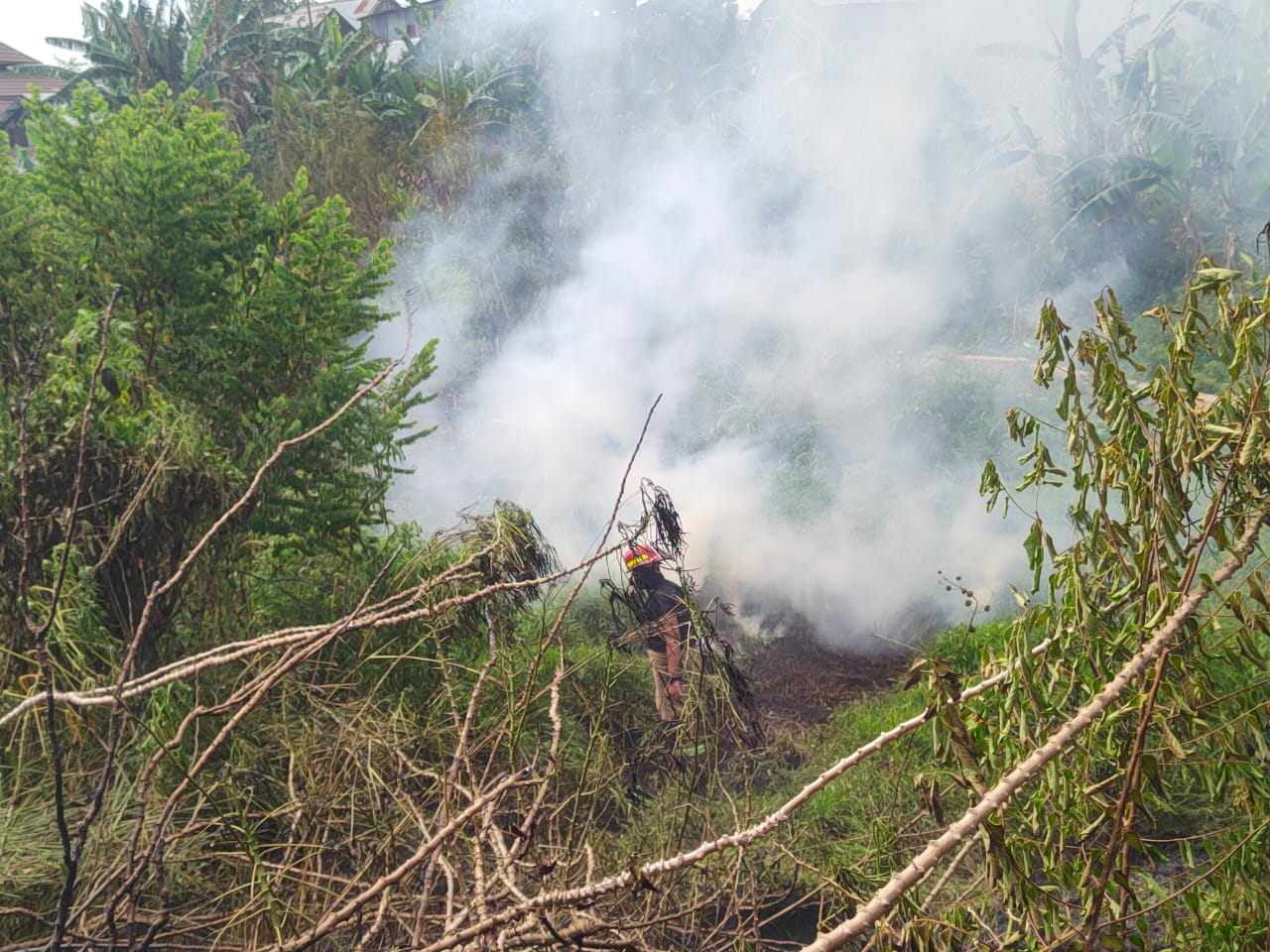 Cuaca Panas, Lahan di Padang Nangka Terbakar