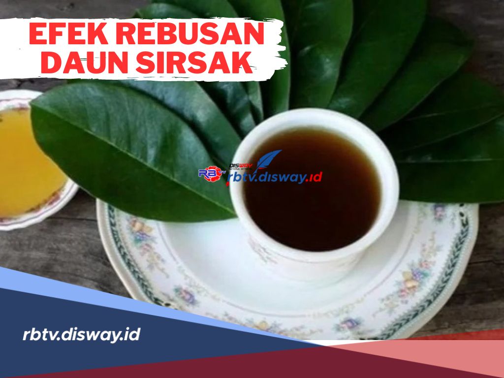 8 Efek Samping Rebusan Daun Sirsak Bagi Kesehatan, Waspadai Gangguan Asam Lambung hingga Ginjal