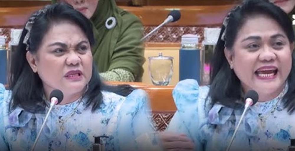 Anggota DPR Viral, Anita Jacoba ‘Semprot’ Mendikbud, Wajar Suaranya Menggelegar, Profesinya Dulu Adalah...