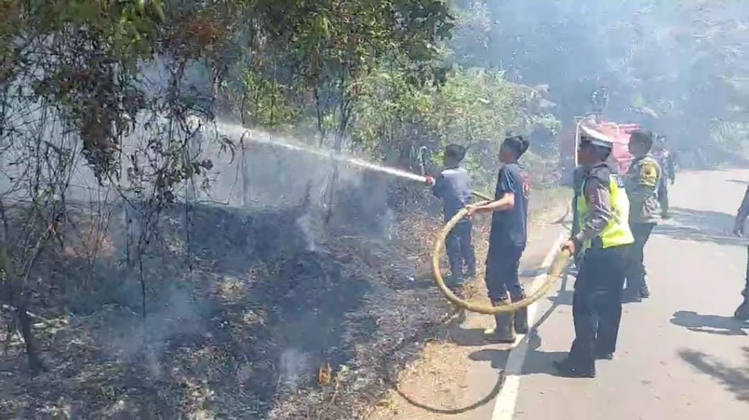 Lahan Pinggir Jalan di Pondok Kubang Bengkulu Tengah Terbakar, Pengendara Ketakutan 