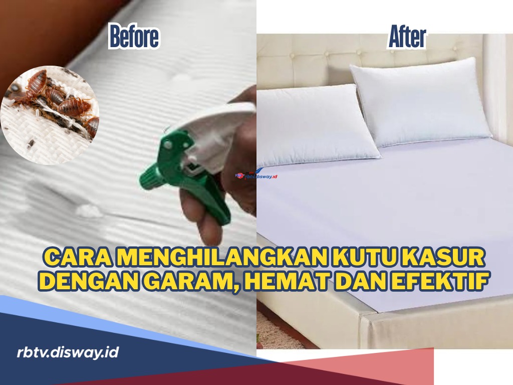 Gak Perlu Beli Kasur Baru, Ini Cara Hemat dan Efektif Hilangkan Kutu Kasur Cukup dengan Garam 