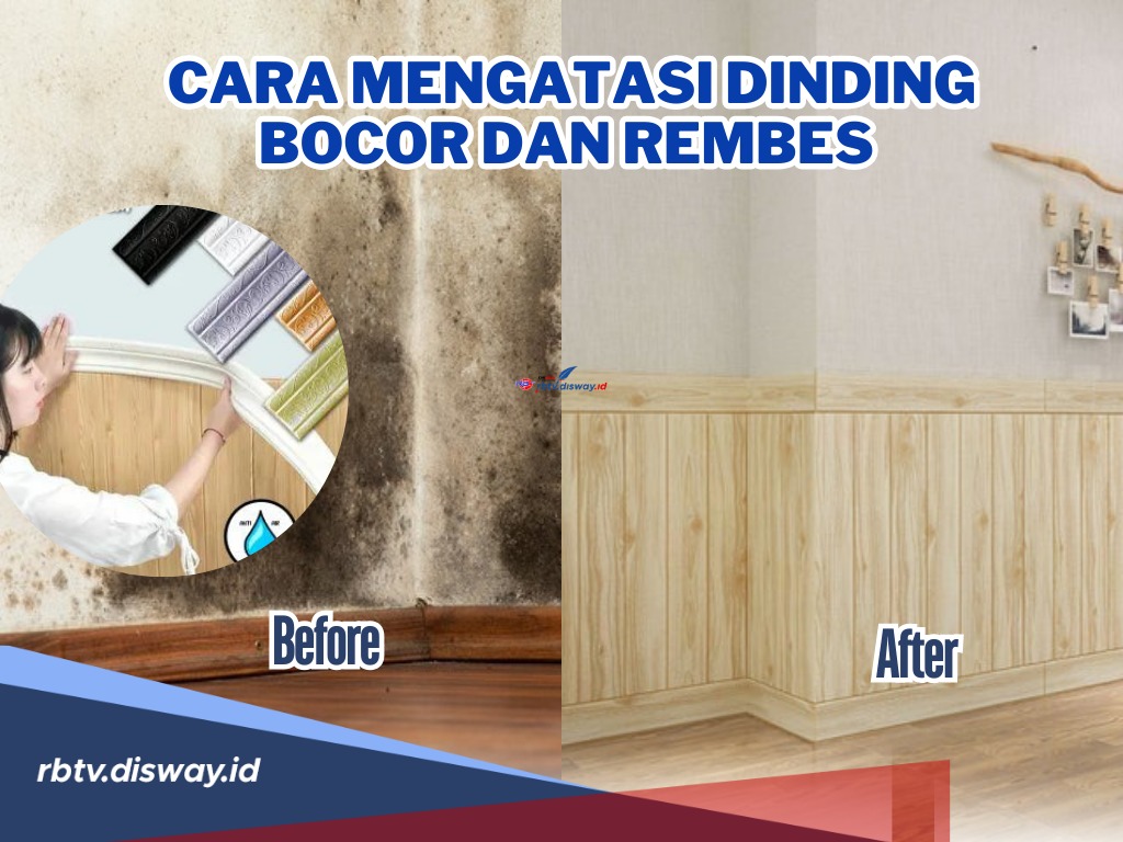 Waswas Saat Hujan Turun? Begini Cara Mengatasi Dinding Bocor dan Rembes, Mudah dan Praktis