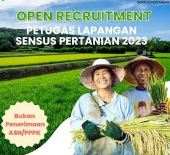 Masih Ada Kesempatan Daftar Lowongan Petugas Sensus, di Tiga Kabupaten Sudah Ribuan Pendaftar