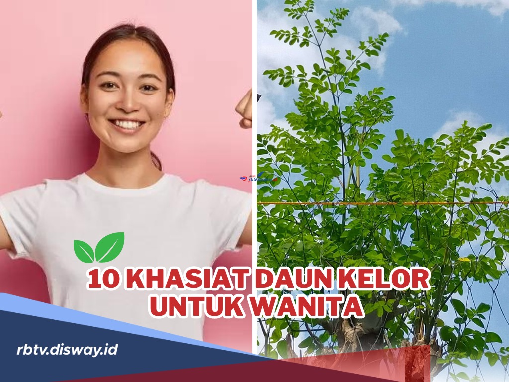 Ladies Perlu Tahu! Ini 10 Khasiat Daun Kelor untuk Wanita Salah Satunya Mengendalikan Hormon