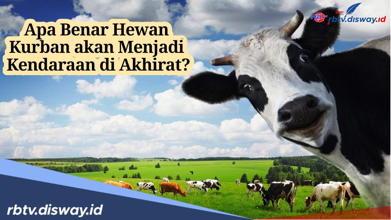 Benarkah Hewan Kurban akan Menjadi Kendaraan di Akhirat? Begini Penjelasannya