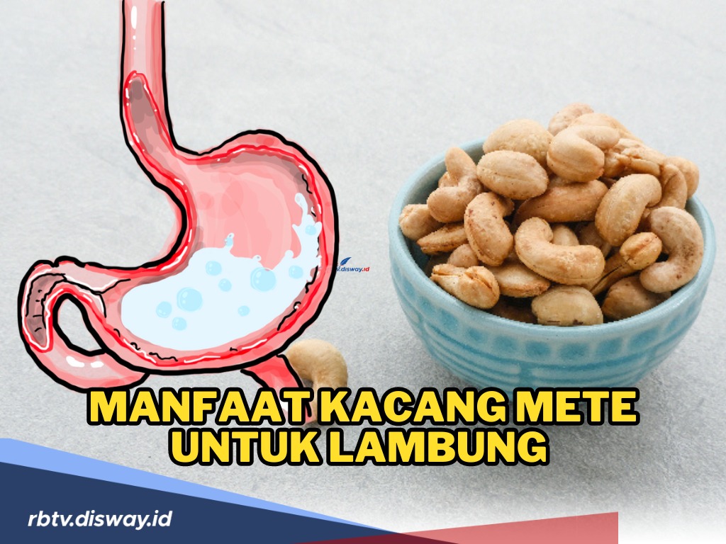 Dikenal Dapat Mengobati Penyakit Lambung, Ini Fakta Mengenai Manfaat Kacang Mete Terutama bagi Penderita GERD