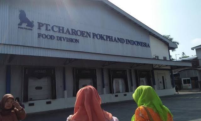 Loker Terbaru, PT Charoen Pokphand Indonesia Buka Kesempatan Kerja, Semua Jurusan Bisa Daftar 