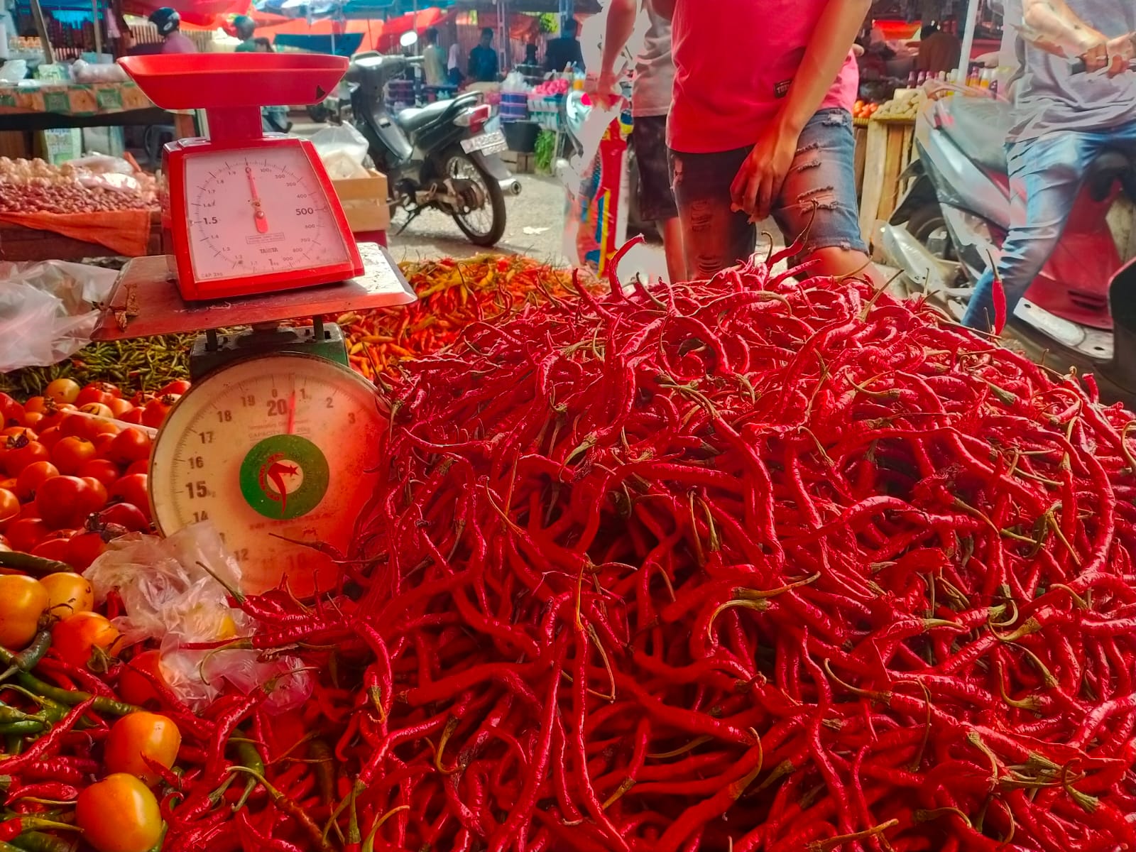 Hari Ketiga Puasa, Harga Cabai Merah di Arga Makmur Turun, Rp 30 Ribu per Kg