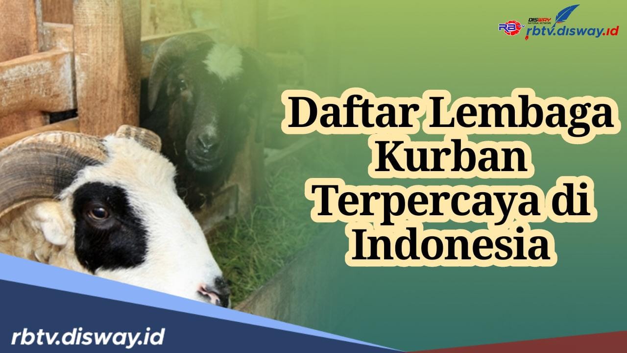 Mau Kurban? Ini Daftar 5 Lembaga Kurban Terpercaya di Indonesia