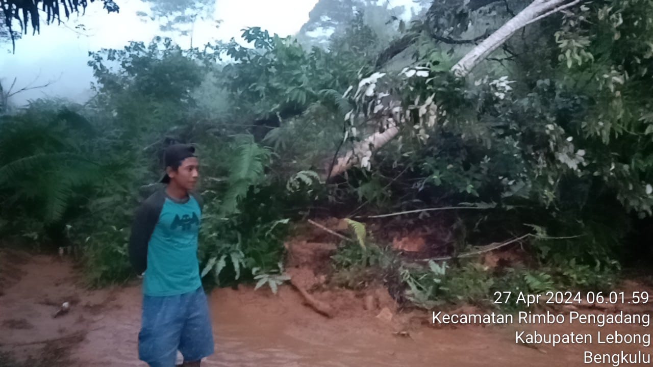 Beberapa Jam Setelah Dibersihkan, Longsor Kembali Terjadi di Rimbo Pengadang, Kendaraan Tak Bisa Lewat