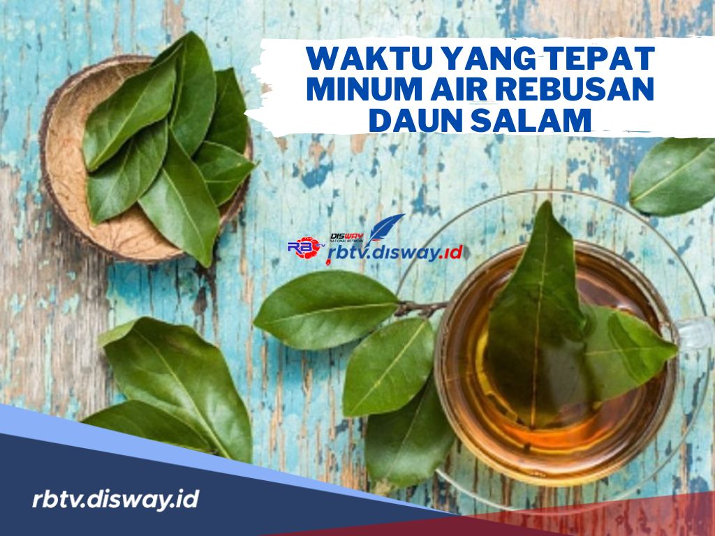 Ini Waktu yang Tepat Minum Air Rebusan Daun Salam agar Dapat Manfaat yang Optimal