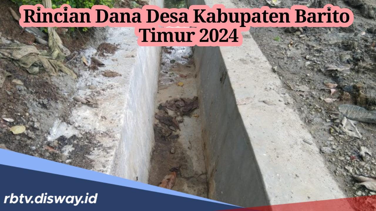 Rincian Dana Desa Kabupaten Barito Timur 2024, Hanya 6 Desa yang Dapat Anggaran Diatas Rp1 Miliar