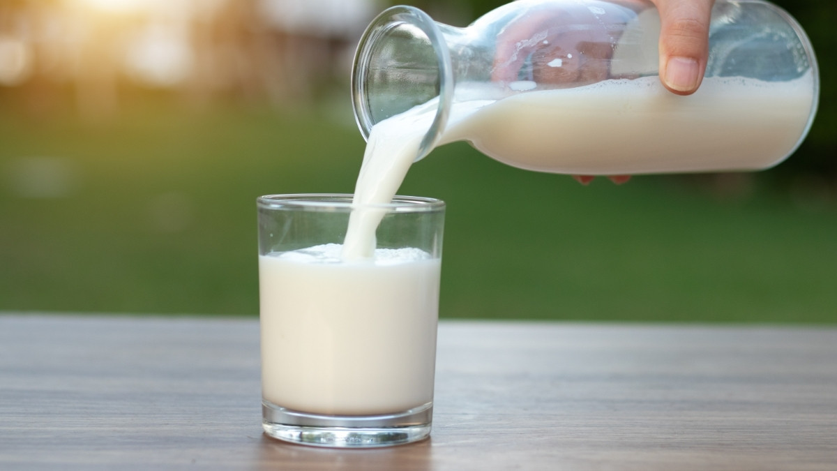 Ternyata Susu Tidak hanya Baik untuk Tulang, Berikut Ragam Manfaat Susu yang Belum Banyak Diketahui