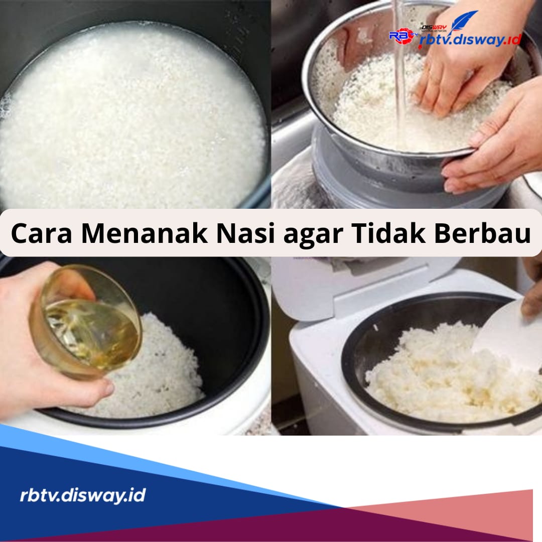 Cara Menanak Nasi agar Tidak Berbau, Tanpa Bahan Tambahan, Cukup Ikuti 7 Triknya