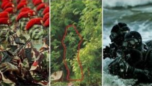 Berantas KKB Papua, Ini Deretan Pasukan Elit TNI yang Diterjunkan, Mampu Tempur di Darat, Laut dan Udara