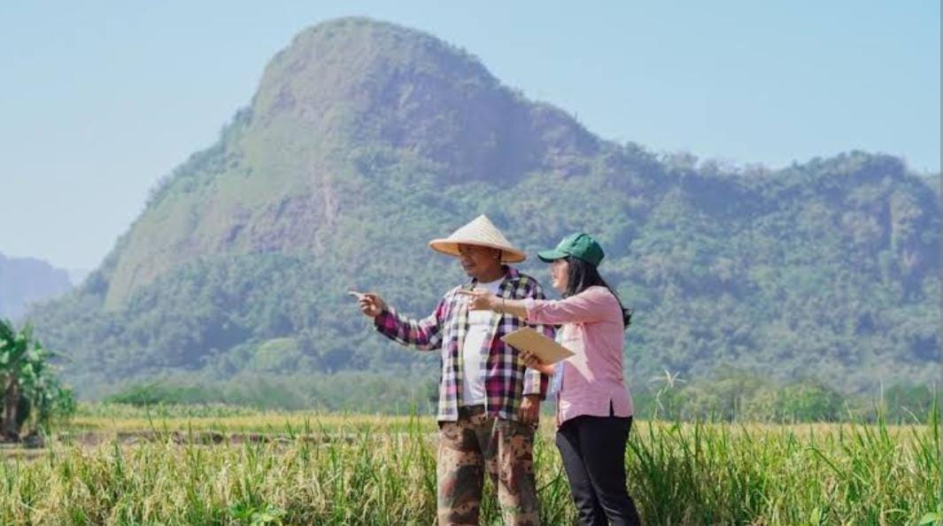 Peluang Lulus Tes Kompetensi Mitra Statistik BPS 2024, Cermati Contoh Soal Logika Umum dan Analogi Berikut