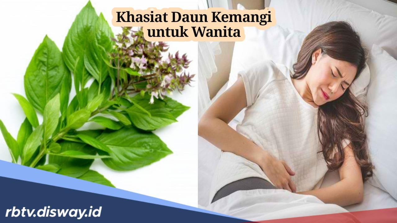 Punya Aroma yang Khas, Ini 12 Khasiat Daun Kemangi untuk Wanita