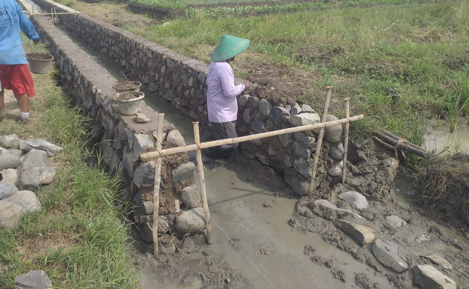 Lowongan Kerja Pendamping Lokal Desa, Pendapatan hingga Rp 9 Juta, Berikut Lama Kontrak Kerjanya