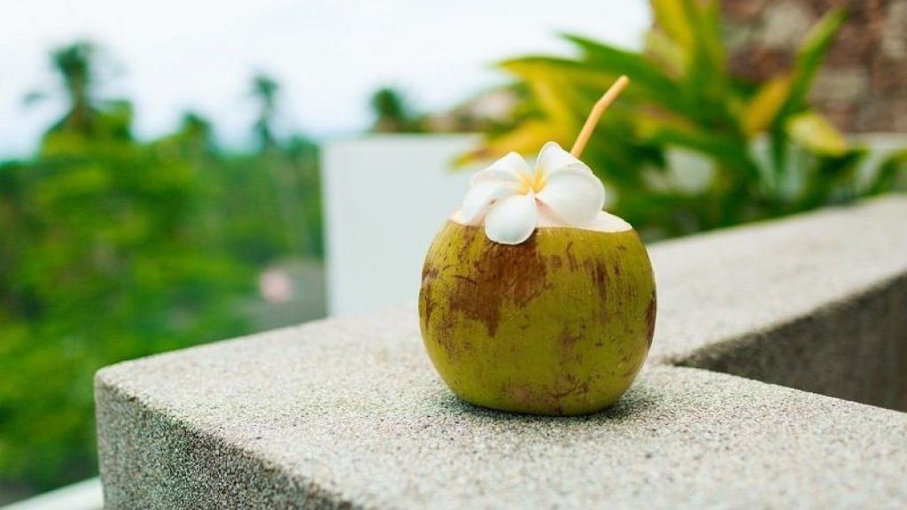 Setop!!! 5 Orang Ini Dilarang Minum Air Kelapa, Bisa Berbahaya